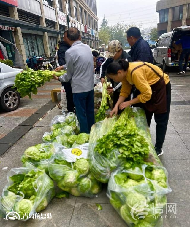 “信新市集”走進周口路社區(qū) 平價蔬菜琳瑯滿目居民樂享“煙火氣”