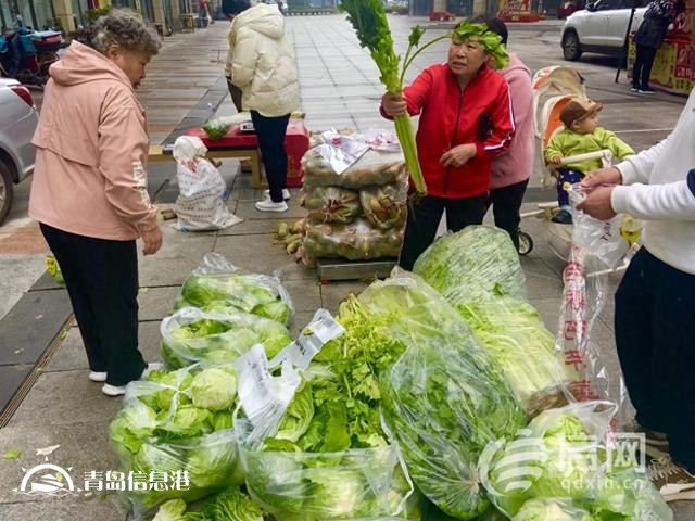 “信新市集”走進周口路社區(qū) 平價蔬菜琳瑯滿目居民樂享“煙火氣”