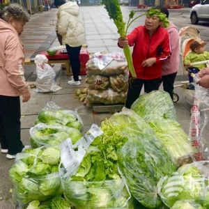 “信新市集”走進周口路社區(qū) 平價蔬菜琳瑯滿目居民樂享“煙火氣”