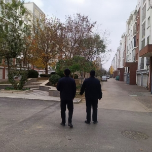 平度市東閣街道執(zhí)法中隊嚴厲打擊占綠毀綠，建設美麗宜居生態(tài)城市 ...