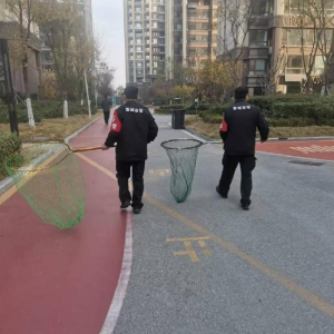 鳳臺執(zhí)法中隊：引導規(guī)范養(yǎng)犬 讓文明融入養(yǎng)犬生活