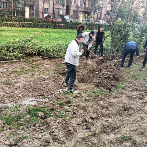 整治小區(qū)侵占公共綠地行為 共護(hù)和諧宜居家園