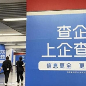 IPO觀察丨企查查沖擊資本市場(chǎng)，商業(yè)查詢是門(mén)好生意嗎