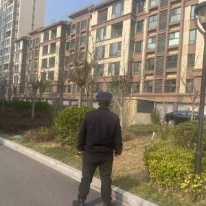 平度市東閣街道執(zhí)法中隊緊盯群眾“急難愁盼”，集中整治占綠毀綠 ...