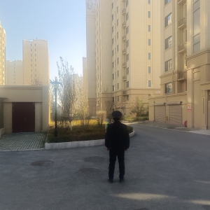 同和執(zhí)法中隊“守綠護綠”進行時