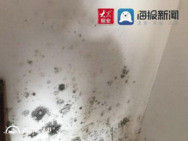 插座漏水墻皮脫落，領(lǐng)秀珊瑚灣新房質(zhì)量堪憂