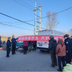 云山中隊：聯(lián)合執(zhí)法禁售野生，攜手共護自然生靈