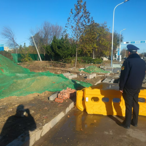 加大執(zhí)法力度，打擊擅自毀綠行為，切實保護城市綠地