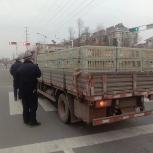 李園街道綜合行政執(zhí)法中隊組織開展動物調(diào)運執(zhí)法檢查行動