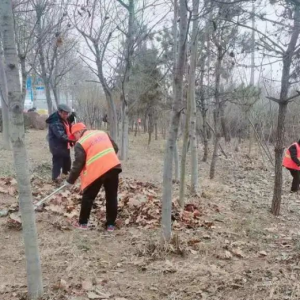 及時清理路面積土，營造干凈整潔的宜居環(huán)境