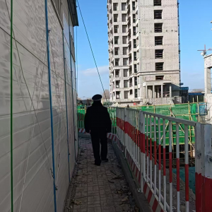 “抑”塵不染 守護(hù)寧?kù)o 李園街道綜合行政執(zhí)法中隊(duì)積極開展揚(yáng)塵噪聲聯(lián)合執(zhí)法促實(shí)效 ...