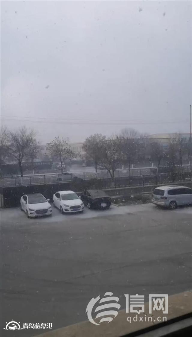 青島多區(qū)市發(fā)布道路結(jié)冰黃色預(yù)警 市民出行注意安全