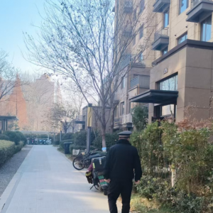 平度市東閣街道執(zhí)法中隊嚴(yán)打占綠毀綠，共建綠色家園