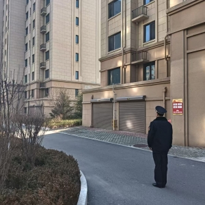 同和執(zhí)法中隊：“以執(zhí)法之盾，護(hù)城市綠韻”