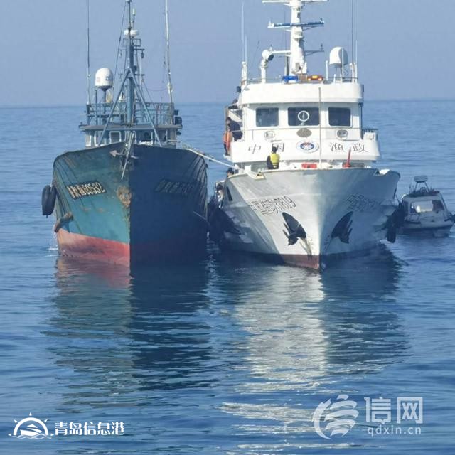 青島市海洋局開展海陸聯(lián)動執(zhí)法 嚴查涉漁領域違法行為