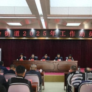 金家?guī)X街道召開(kāi)2025年工作動(dòng)員大會(huì)