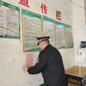 守護(hù)水域生態(tài)：嚴(yán)厲打擊非法捕撈，共護(hù)水生生物家園