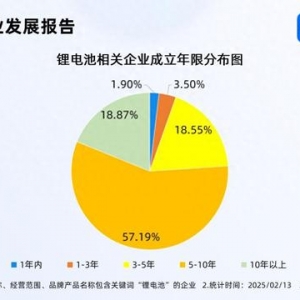 復旦新成果延長鋰電池壽命 超7成相關企業(yè)成立五年以上