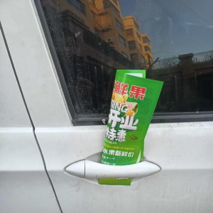 平度市鳳臺執(zhí)法中隊在行動——對違規(guī)散發(fā)宣傳單頁說“不” ...