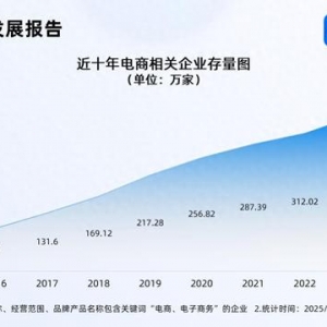 年貨節(jié)成績(jī)單亮眼 國(guó)內(nèi)電商相關(guān)企業(yè)存量破380萬(wàn)家