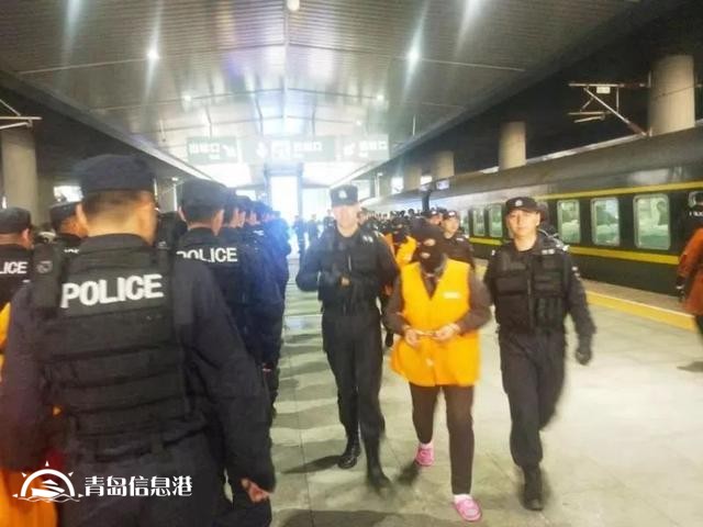 8000多人受騙的哈爾濱“中國(guó)信網(wǎng)”詐騙案告破