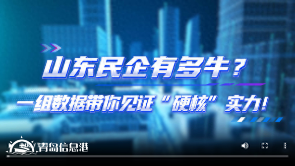 山東民企有多牛？一組數(shù)據(jù)帶你見(jiàn)證“硬核”實(shí)力