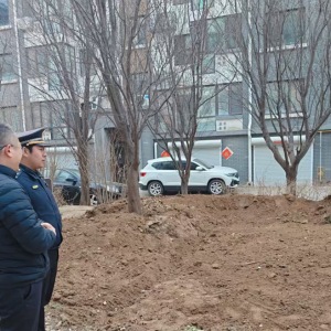平度市東閣街道執(zhí)法中隊“信用+”整治占綠毀綠，守護綠色家園 ...