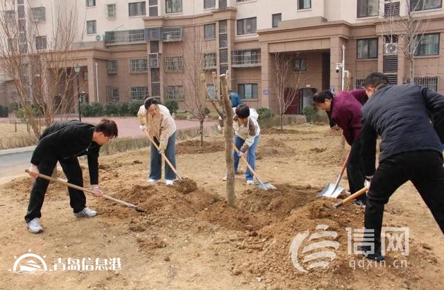 嶗山區(qū)金家?guī)X街道舉辦2025年義務(wù)植樹活動(dòng) 共繪生態(tài)夢(mèng)
