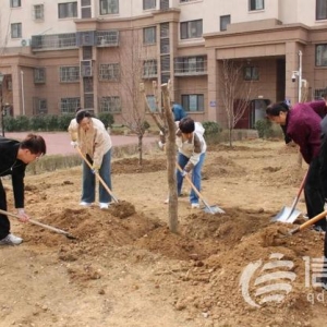 嶗山區(qū)金家?guī)X街道舉辦2025年義務(wù)植樹(shù)活動(dòng) 共繪生態(tài)夢(mèng)