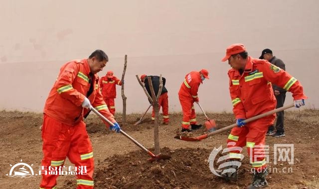 嶗山區(qū)金家?guī)X街道舉辦2025年義務(wù)植樹活動(dòng) 共繪生態(tài)夢(mèng)