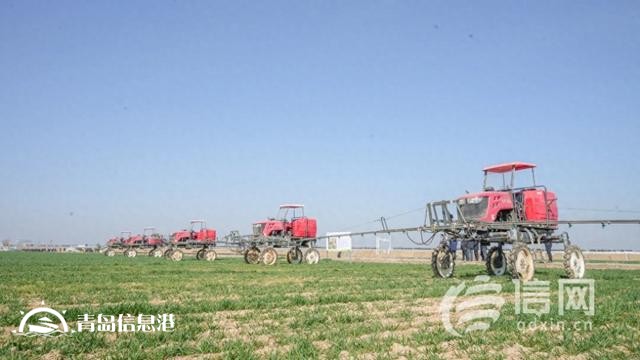 青島春季農(nóng)業(yè)生產(chǎn)會(huì)啟幕 專家助力小麥管理與病害防治