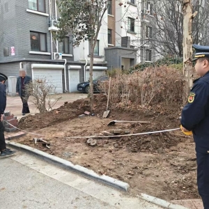 平度市東閣街道執(zhí)法中隊整治占綠毀綠，筑牢城市生態(tài)屏障